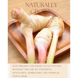 Organic Galangal Powder - Galanga Spice Seasoning in Asian Cooking - for Thai, Indonesian, and Malaysian Cuisin 16 OZ