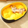 Pet Nest Bed Large Space Soft Comfortable Warm Pet Sleeping