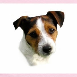 CafePress Jack Russell Watercolor Infant Creeper Cute Infant Bodysuit Baby Romper Petal Pink