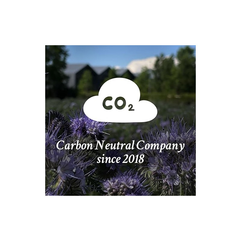 Davines OI Conditioner absolute beautifying conditioner, 8.80 Oz