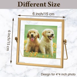 Hoteam 12 Pack 6 x 6 Inch Gold Floating Frame for Photo 4 x 4 Inch, Glass Floating Picture Frame Collection Vintage Metal Minimal Ornate Easel for Wedding Gift Pictures Photos Desk Tabletop Display