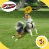 WHAM-O Frisbee Fastback Flying Disc, 9.35 Inch Dog-Friendly Lightweight Toy