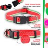 Native Pup Spring Dog Collars Cute Summer Designs for Girl