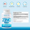 Zinc 220mg [High Potency] Supplement – Zinc Sulfate for Immune