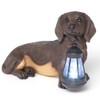Bits and Pieces - Dog Solar Lantern Statue - Solar
