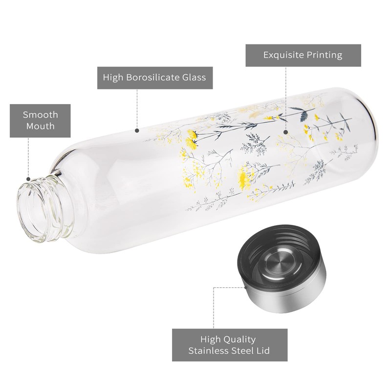 Reeho Borosilicate Glass Water Bottle, Sports Glass Drinking Bottle with