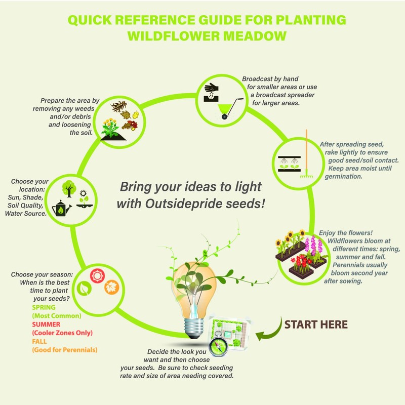 Outsidepride Wild Blue Perennial Lupine Seeds - 500 Pcs. Self-Sowing,