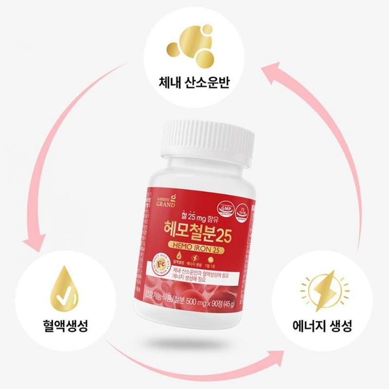 Non-heme iron iron supplement Vegetable-based adolescent children Elementary school students