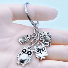 PYNASA Owl Keychain Set for Women Men, 4-Tone Owl Charm Set Key Chain Accessories Gifts For Car Key Ring,Backpacks,Hand Bag, Silver, Small