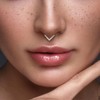 GBJUK Titanium Hinged Segment Septum Nose Ear Hoop Rings Chevron