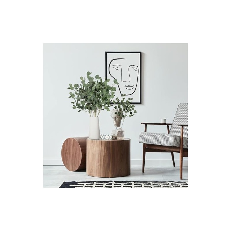 Hojas de Eucalipto Artificial para 6 Piezas, Decoración de Casa,Ramas