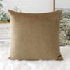 Artscope Luxury Velvet Cushion Covers Decorative Square Pillowcases Soft Solid