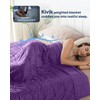 Kivik Minky Dot Weighted Blanket for Adults, 12 lbs Breathable