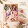 Natural Dried Flowers for Crafts, Colourful Flower Kit for Resin