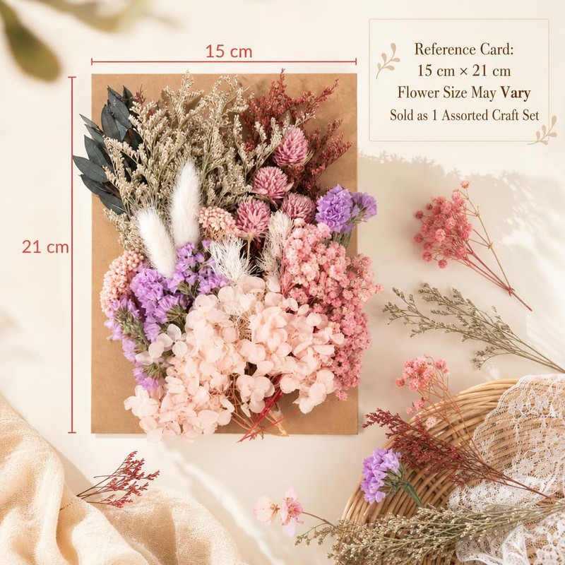 Natural Dried Flowers for Crafts, Colourful Flower Kit for Resin
