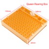 Beekeeping nicot bee Queen Rearing Grafting Kit for nicot System