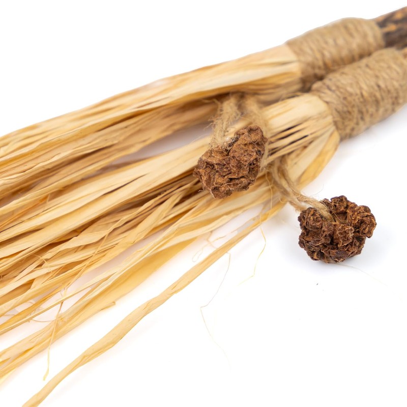 CanadianCat Company Cat Toy Matatabi Sticks with Raffia (Pack of