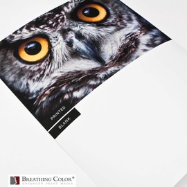 Vibrance Matte Photo Printer Paper 12 mil 230 gsm Premium Matte Photo Paper Sheets 4 x 6 inches 100 sheets Works with All Inkjet Printers Including Professional Makes and Models Like Epson Canon HP