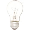Bulbrite 25A15C 25-Watt Incandescent A15 Appliance Bulb, Clear