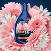 Downy Suavizante de Telas Elegance Perfume 750 ml