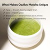 Osulloc Polvo de matcha premium OSULLOC (sin azúcar), té verde