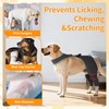 Furtent Dog Sleeve to Prevent Licking for Rear Leg, Cone