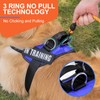 Essential Dog Harness, No Pull Pet Harness with 3 Side