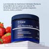 Trace Minerals, Electrolitos cetogénicos en polvo, Limonada de fresa, 369