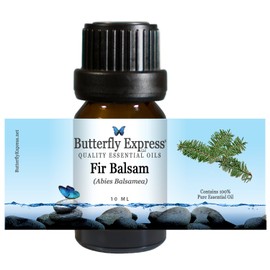 Fir Balsam Essential Oil 10ml - 100% Pure - by Butterfly Express