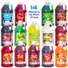 Concession Express Slush & Slushy Mix Multi-pack, Choose Any Flavors