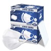 Individually Wrapped Masks, 100 Pieces, Non-Woven Disposable Mask, 3D, Wide