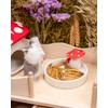 Niteangel Hamster Snack & Treats Toy - Small Animal Natural