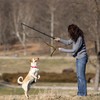 Flirt Pole for Dogs, Extendable Dog Flirt Pole with Detachable