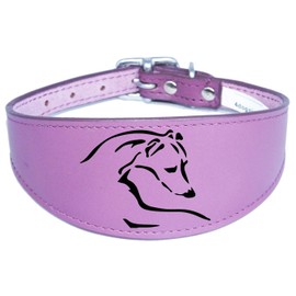 Dog Collar Italian Greyhound Collar Whippet Collar Greyhound Collar Padded Backing D12 (14-17 Inch (35cm-43cm), Purple)