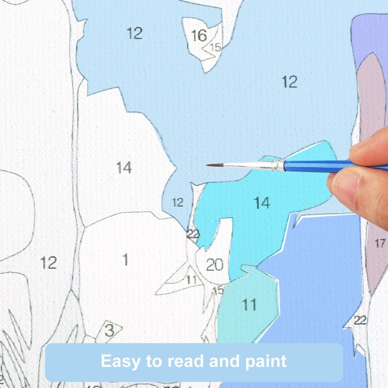 EOBROMD Paint by Numbers Adult Flowers, Paint by Numbers Adults