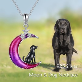 POPLYKE 925 Sterling Silver Moon Sun Necklace Moon Dog Necklace for Women Enamel Colourful Moon Jewellery Gifts for Girls, Sterling Silver, No Gemstone