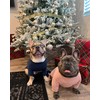 Fitwarm Turtleneck Knitted Dog Sweater Puppy Pajamas Thermal Doggie Winter