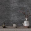 VaryPaper Dark Grey Concrete Wallpaper Peel and Stick Wallpaper Textured