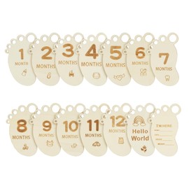 HAGOT 14 PCS Wooden Baby Milestone Cards, Double Sided Milestone Baby Cards, Round Month Newborn Sign, Baby Gifts for New Parents
