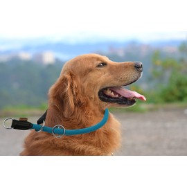 Aiminto Braided Round Martingale Dog Collar, Training Collar with Slidable Stop Ring - Ideal for Medium/Large Dogs (M+(1/2") - 18" Long, Light Blue)