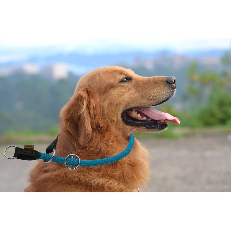 Aiminto Braided Round Martingale Dog Collar, Training Collar with Slidable