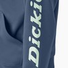 Dickies Water Repellent Sleeve Logo Hoodie