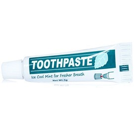 Ice Cool MINI MINT Toothpaste Fresh Breath 5g MINIATURE TRAVEL/ POCKET SIZE