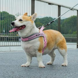 AIITLE No Pull Small Dog Harness, Pet Soft Vest Harnesses Chest Adjustable, Reflective Strip Escape Proof and Quick Fit Dog Harness for Small Sized Dog Pink-Grey S