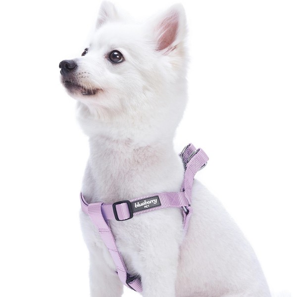 Blueberry Pet Essentials Classic Durable Solid Nylon Step-in Dog Harness,