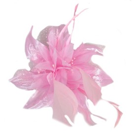 Flower Net and Feathers Fascinator On A Comb 9 Colours (Pink)