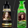 Herbishh - Champú colorante para cabello gris, champú con tinte