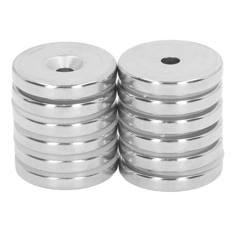12 Pcs Neodymium Magnet 30x5mm Heavy Duty Strong Magnetism Round