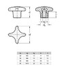 Ganter Normelemente Plastic Cross Handle with Galvanised Steel Bushing DIN