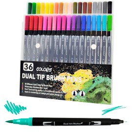 RAYLU PAPER - Dual Tip for Professional Lettering, Case with Brush Tip and Fine Tip for Colouring Drawing and Calligraphy (Pack of 36)